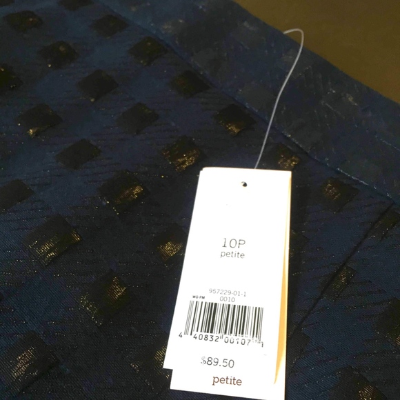 NWT Banana Republic Skirt - 10P - Picture 2 of 5